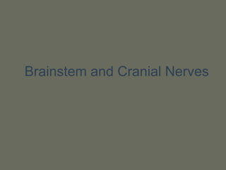 Brainstem and Cranial Nerves
 