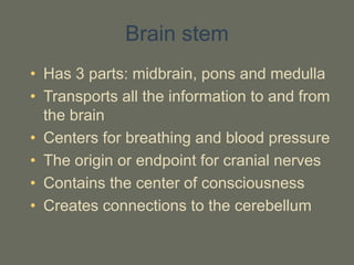 Brain stem
• Has 3 parts: midbrain, pons and medulla
• Transports all the information to and from
the brain
• Centers for breathing and blood pressure
• The origin or endpoint for cranial nerves
• Contains the center of consciousness
• Creates connections to the cerebellum
 