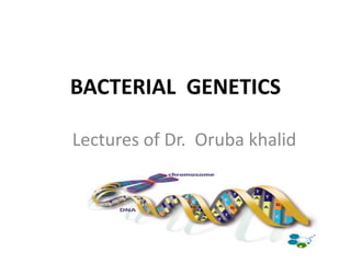 BACTERIAL GENETICS
Lectures of Dr. Oruba khalid
 