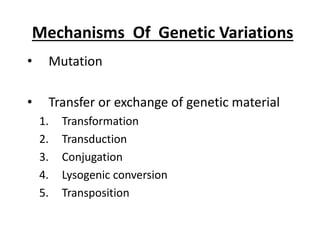 Mechanisms Of Genetic Variations
• Mutation
• Transfer or exchange of genetic material
1. Transformation
2. Transduction
3. Conjugation
4. Lysogenic conversion
5. Transposition
 