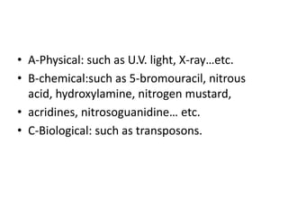 • A-Physical: such as U.V. light, X-ray…etc.
• B-chemical:such as 5-bromouracil, nitrous
acid, hydroxylamine, nitrogen mustard,
• acridines, nitrosoguanidine… etc.
• C-Biological: such as transposons.
 