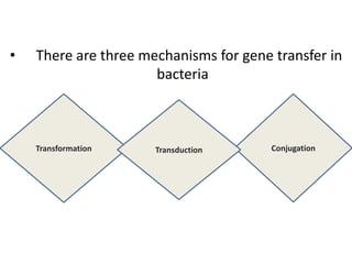 • There are three mechanisms for gene transfer in
bacteria
Conjugation
Transformation Transduction
 