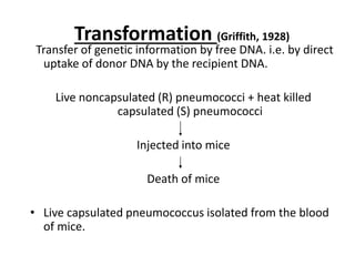 Transformation (Griffith, 1928)
Transfer of genetic information by free DNA. i.e. by direct
uptake of donor DNA by the recipient DNA.
Live noncapsulated (R) pneumococci + heat killed
capsulated (S) pneumococci
Injected into mice
Death of mice
• Live capsulated pneumococcus isolated from the blood
of mice.
 