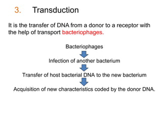 3. Transduction
It is the transfer of DNA from a donor to a receptor with
the help of transport bacteriophages.
Bacteriophages
Infection of another bacterium
Transfer of host bacterial DNA to the new bacterium
Acquisition of new characteristics coded by the donor DNA.
 