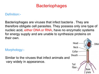 Bacteriophages
Definition:-
Bacteriophages are viruses that infect bacteria . They are
therefore obligate cell parasites. They possess only one type of
nucleic acid, either DNA or RNA, have no enzymatic systems
for energy supply and are unable to synthesize proteins on
their own.
Morphology:-
Similar to the viruses that infect animals and
vary widely in appearance.
 