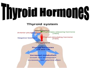 • An important component in the synthesis of thyroid
hormones is iodine. Thyroid hormones are
synthesized from the amino a...