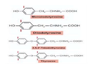 Thyroidhormones synthesisandsecretion
 