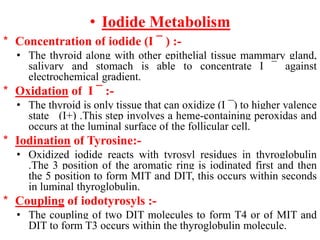 • Iodide Metabolism
* Concentration of iodide (I ¯ ) :-
• The thyroid along with other epithelial tissue mammary gland,
salivary and stomach is able to concentrate I ¯ against
electrochemical gradient.
* Oxidation of I ¯ :-
• The thyroid is only tissue that can oxidize (I ¯) to higher valence
state (I+) .This step involves a heme-containing peroxidas and
occurs at the luminal surface of the follicular cell.
* Iodination of Tyrosine:-
• Oxidized iodide reacts with tyrosyl residues in thyroglobulin
.The 3 position of the aromatic ring is iodinated first and then
the 5 position to form MIT and DIT, this occurs within seconds
in luminal thyroglobulin.
* Coupling of iodotyrosyls :-
• The coupling of two DIT molecules to form T4 or of MIT and
DIT to form T3 occurs within the thyroglobulin molecule.
 