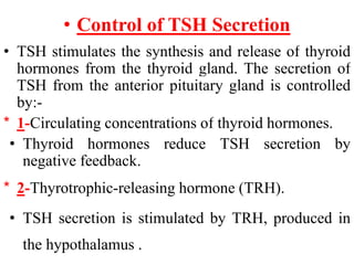 • Control of TSH Secretion
• TSH stimulates the synthesis and release of thyroid
hormones from the thyroid gland. The secretion of
TSH from the anterior pituitary gland is controlled
by:-
* 1-Circulating concentrations of thyroid hormones.
• Thyroid hormones reduce TSH secretion by
negative feedback.
* 2-Thyrotrophic-releasing hormone (TRH).
• TSH secretion is stimulated by TRH, produced in
the hypothalamus .
 