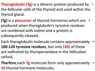 •
Thyroglobulin (Tg) is a dimeric protein produced by
the follicular cells of the thyroid and used within the
thyroid gland.
•
(Tg) is a precursor of thyroid hormones which are
produced when thyroglobulin's tyrosine residues
are combined with iodine and a protein is
subsequently cleaved..
•
Each thyroglobulin molecule contains approximately
100-120 tyrosine residues, but only (20) of these
are iodinated by thyroperoxidase in the folliculear
colloid.
•
Therfore,each Tg molecule form only approximately
10 thyroid hormone molecules.
 