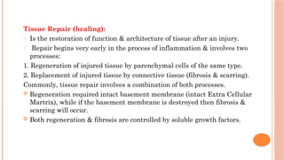 pathology of inflammation lecture by me tissue healing and repair | PPTX
