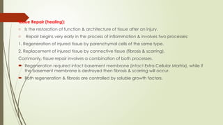 Comprehensive Overview of Tissue Repair and Wound Healing Mechanisms in ...