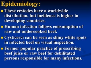 Epidemiology:
 These cestodes have a worldwide
distribution, but incidence is higher in
developing countries.
 Human infection follows consumption of
raw and undercooked beef.
 Cysticerci can be seen as shiny white spots
in infected beef on visual inspection.
 Former popular practice of prescribing
beef juice or raw beef for debilitated
persons responsible for many infections.
 