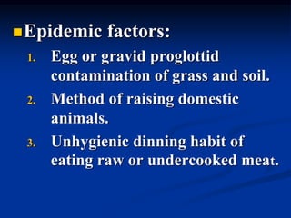 Epidemic factors:
1. Egg or gravid proglottid
contamination of grass and soil.
2. Method of raising domestic
animals.
3. Unhygienic dinning habit of
eating raw or undercooked meat.
 