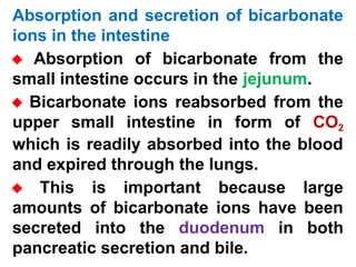 The physiology and definition of digestive system | PPT