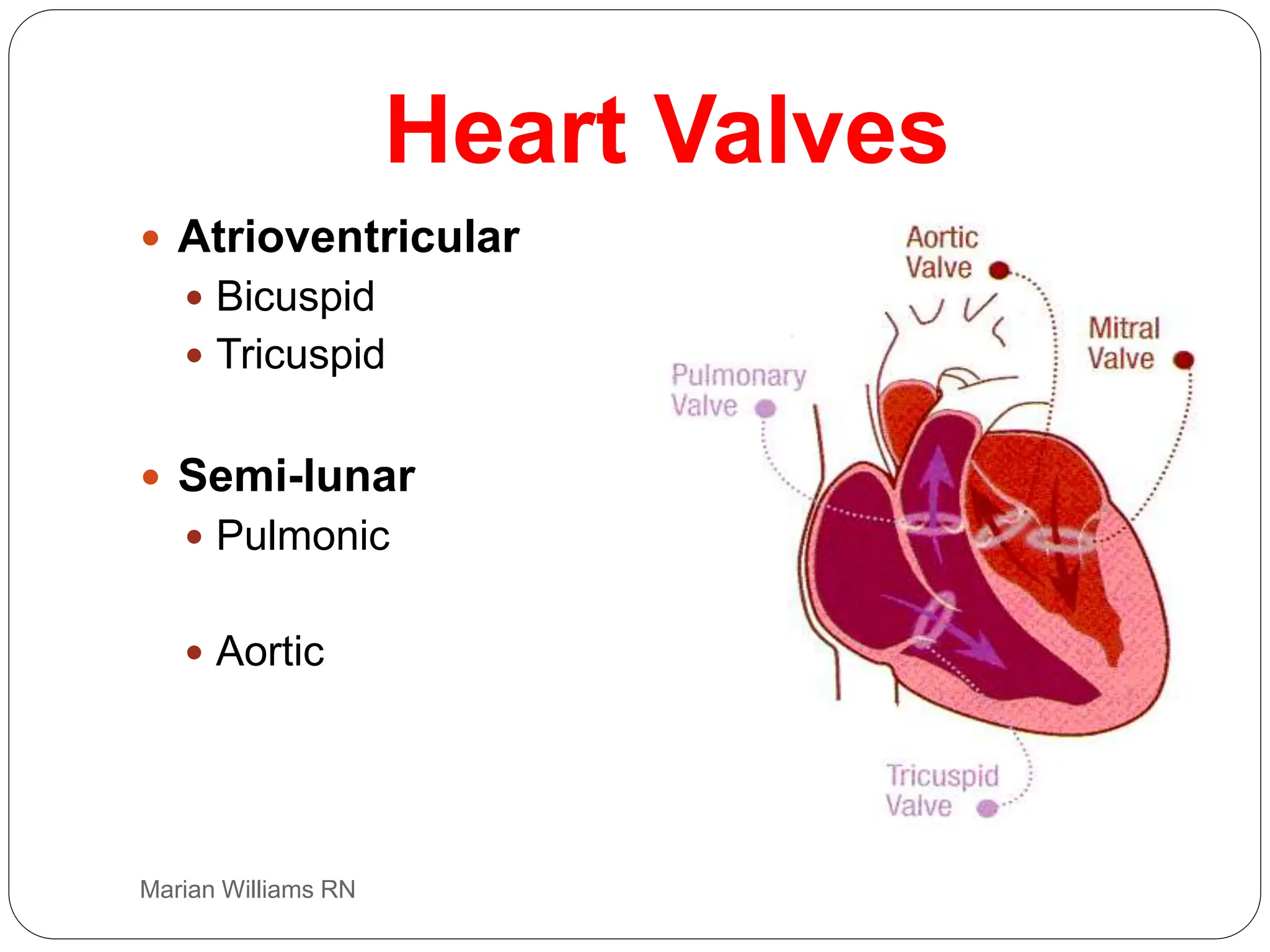 electrocardiogram power point, basic ecg interp | PPT