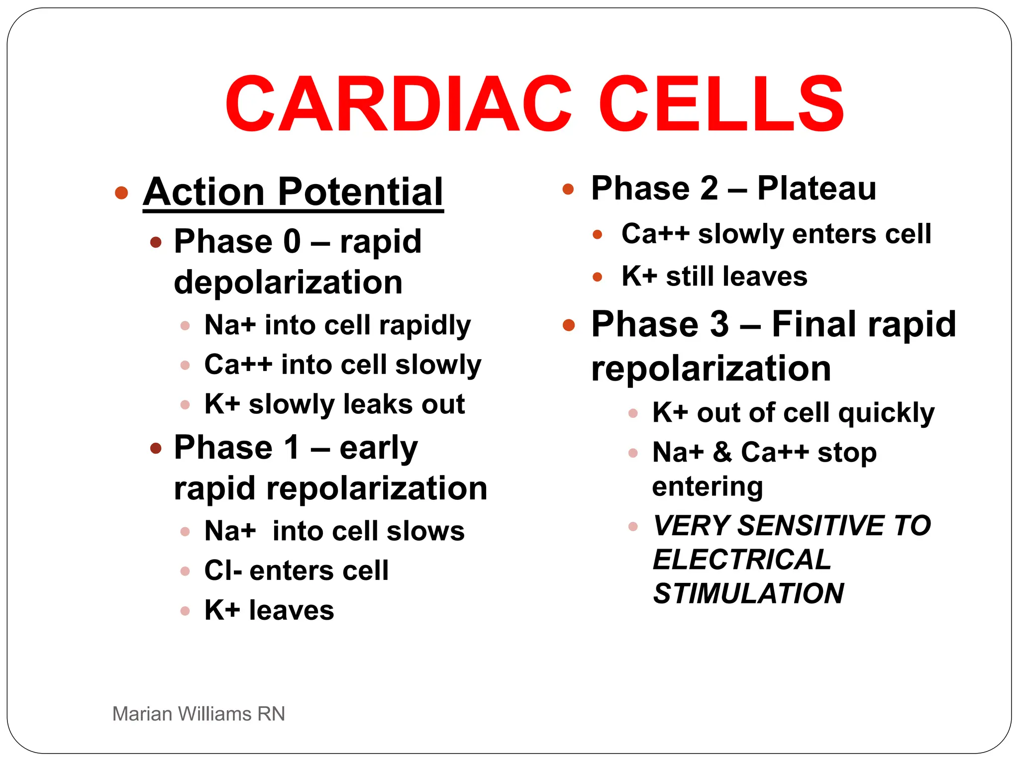 electrocardiogram power point, basic ecg interp | PPT