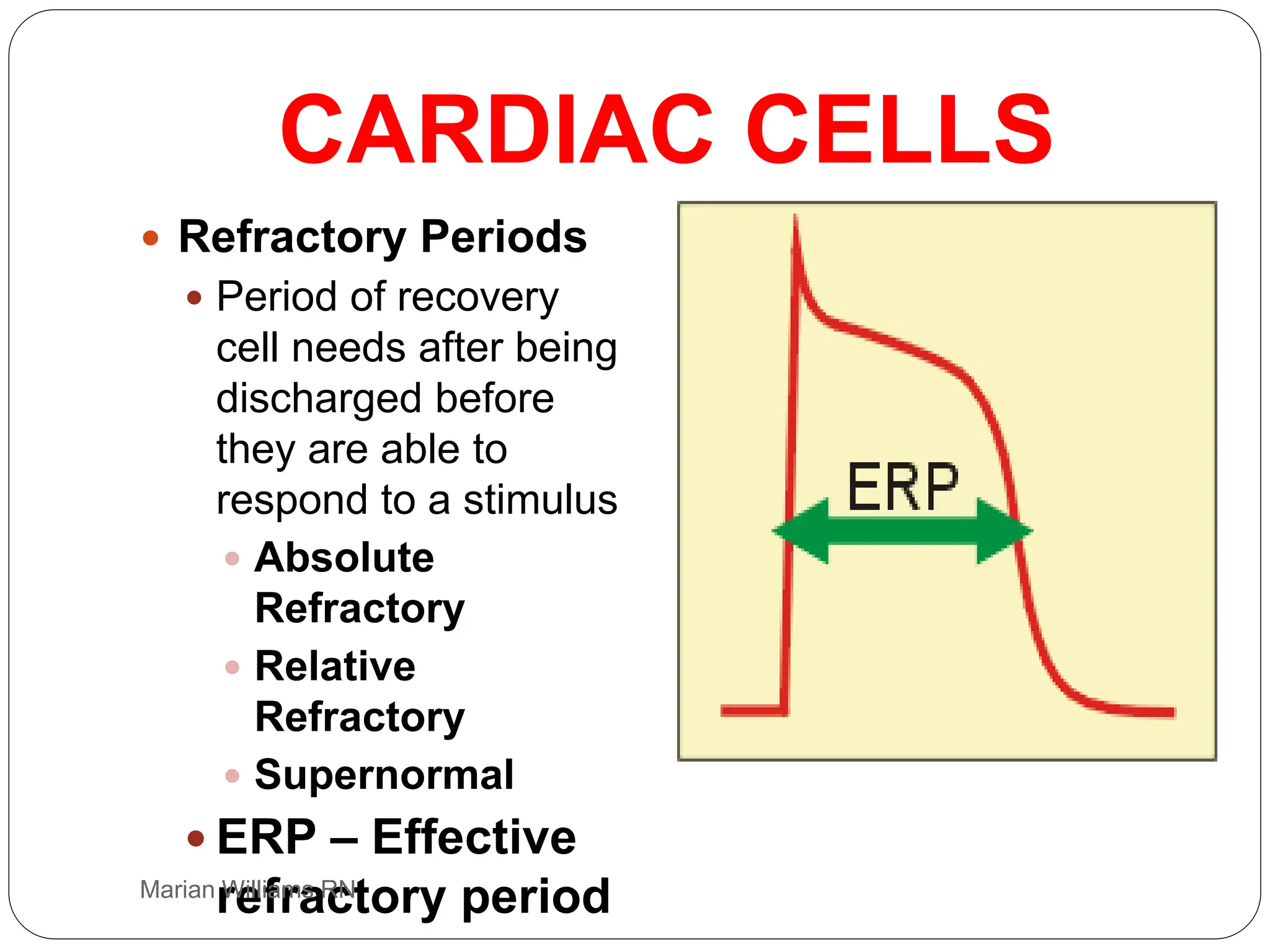 electrocardiogram power point, basic ecg interp | PPT