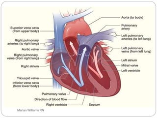 electrocardiogram power point, basic ecg interp | PPT