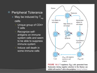 Tolerance of autoimmunity and transplant | PPT