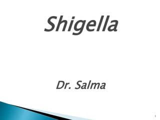 1
Shigella
Dr. Salma
 