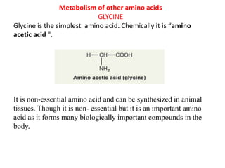 Metabolism of other amino acids
GLYCINE
Glycine is the simplest amino acid. Chemically it is “amino
acetic acid ".
It is non-essential amino acid and can be synthesized in animal
tissues. Though it is non- essential but it is an important amino
acid as it forms many biologically important compounds in the
body.
 