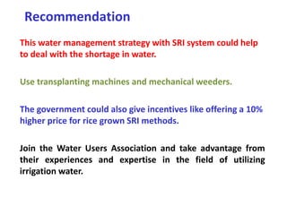 Recommendation
This water management strategy with SRI system could help
to deal with the shortage in water.
Use transplan...
