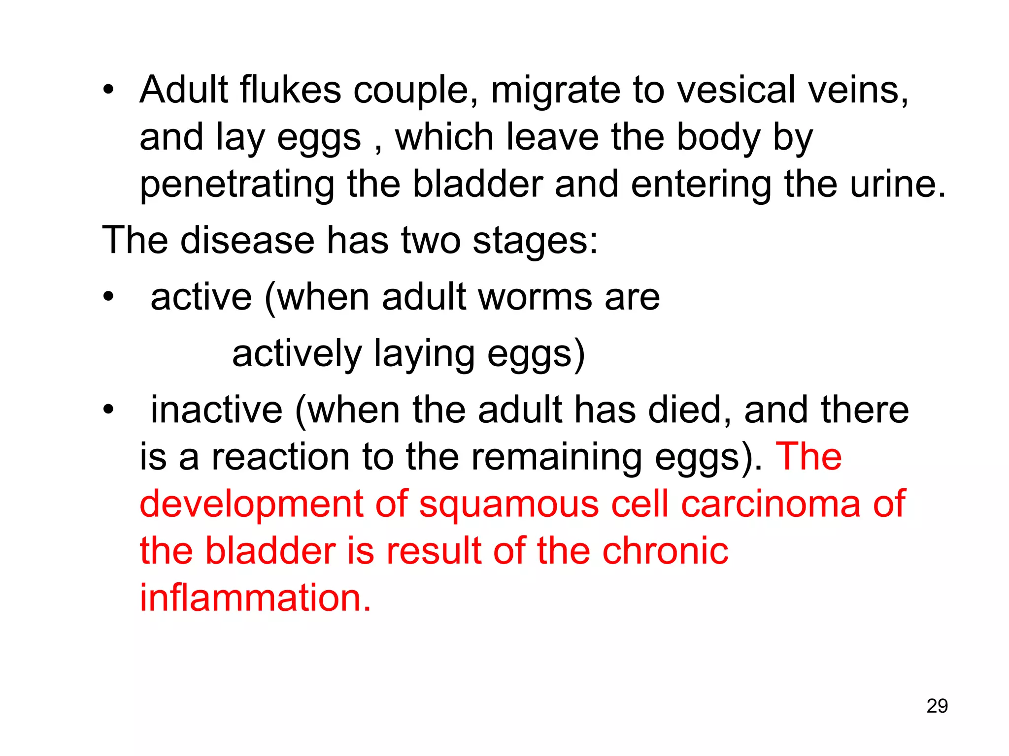 29
• Adult flukes couple, migrate to vesical veins,
and lay eggs , which leave the body by
penetrating the bladder and entering the urine.
The disease has two stages:
• active (when adult worms are
actively laying eggs)
• inactive (when the adult has died, and there
is a reaction to the remaining eggs). The
development of squamous cell carcinoma of
the bladder is result of the chronic
inflammation.
 