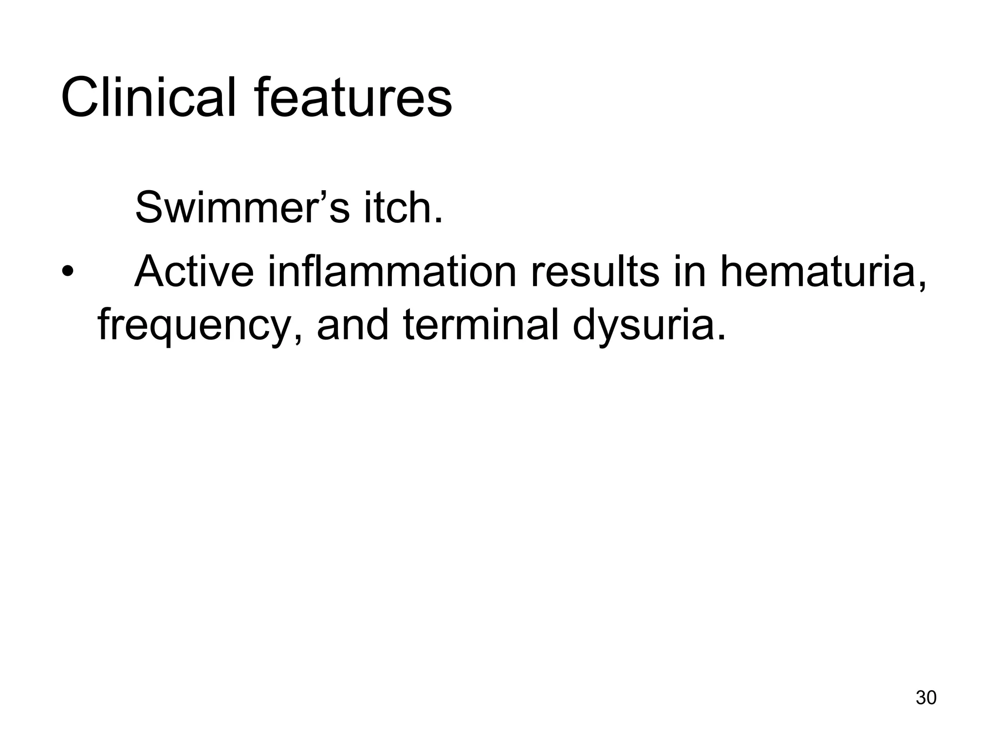 Clinical features
Swimmer’s itch.
• Active inflammation results in hematuria,
frequency, and terminal dysuria.
30
 