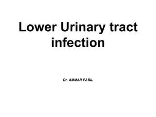 Lower Urinary tract
infection
Dr. AMMAR FADIL
 