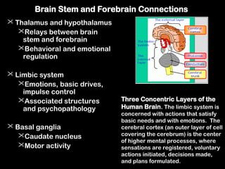 2_2020_Integrative Approach to Understanding Psychopathology.ppt