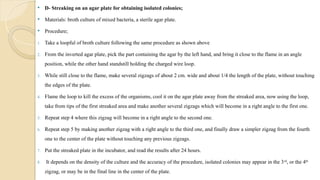 Loopful Comprehensive Guide to Handling and Cultivating Bacterial Cultures in ...