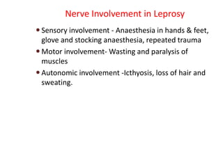 Nerve Involvement in Leprosy
 Sensory involvement - Anaesthesia in hands & feet,
glove and stocking anaesthesia, repeated trauma
 Motor involvement- Wasting and paralysis of
muscles
 Autonomic involvement -Icthyosis, loss of hair and
sweating.
 