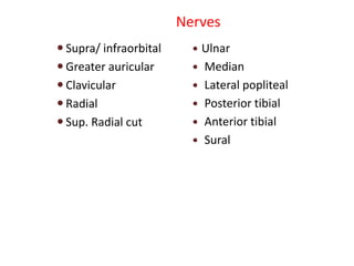 Nerves
 Supra/ infraorbital
 Greater auricular
 Clavicular
 Radial
 Sup. Radial cut
 Ulnar
 Median
 Lateral popliteal
 Posterior tibial
 Anterior tibial
 Sural
 