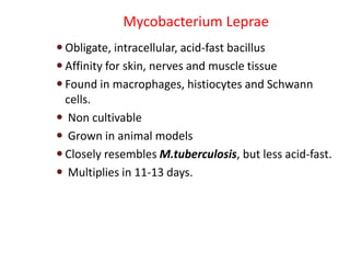 Mycobacterium Leprae
 Obligate, intracellular, acid-fast bacillus
 Affinity for skin, nerves and muscle tissue
 Found in macrophages, histiocytes and Schwann
cells.
 Non cultivable
 Grown in animal models
 Closely resembles M.tuberculosis, but less acid-fast.
 Multiplies in 11-13 days.
 