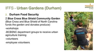 IFFS - Urban Gardens (Durham)
2. Durham Food Security
2.Blue Cross Blue Shield Community Garden
(Blue Cross and Blue Shield of North Carolina
funds the garden and donates produce)
-workshops
-BCBSNC department groups to receive urban
agriculture training
-volunteers
-employee volunteers
 