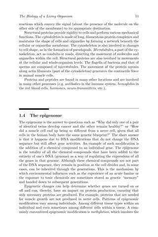 The Biology of a Living Organism 11
reactions which convey the signal (about the presence of the molecule on the
other side of the membrane) to its appropriate destination.
Structural proteins provide rigidity to cells and perform various mechanical
functions. The cytoskeleton is made of long, filamentous protein complexes and
maintains the shape of cells and organelles by forming a network beneath the
cellular or organellar membrane. The cytoskeleton is also involved in changes
to cell shape, as in the formation of pseudopods. Microtubules, a part of the cy-
toskeleton, act as conduits or roads, directing the movement of molecules and
organelles within the cell. Structural proteins are also involved in movements
at the cellular and whole-organism levels. The flagella of bacteria and that of
sperms are composed of microtubules. The movement of the protein myosin
along actin filaments (part of the cytoskeleton) generates the contractile force
in animal muscle cells.
Proteins and peptides are found in many other locations and are involved
in many other processes (e.g. antibodies in the immune system, hemoglobin in
the red blood cells, hormones, neuro-transmitters, etc.).
1.4 The epigenome
The epigenome is the answer to questions such as “Why did only one of a pair
of identical twins develop cancer and the other remain healthy?” or “How
did a muscle cell end up being so different from a nerve cell, given that all
cells in the human body have the same genetic blueprint?” The short answer
is that it happens due to DNA modifications that do not change the DNA
sequence but still affect gene activities. An example of such modification is
the addition of a chemical compound to an individual gene. The epigenome
is the totality of all the chemical compounds that have been added to the
entirety of one’s DNA (genome) as a way of regulating the expressions of all
the genes in that genome. Although these chemical compounds are not part
of the DNA sequence, they remain in position as the cell divides and, in some
cases, can be inherited through the generations. This is the mechanism by
which environmental influences such as the experience of an acute famine or
the exposure to toxic chemicals are sometimes stored as genetic “memory”
and handed down to subsequent generations.
Epigenetic changes can help determine whether genes are turned on or
off and can, thereby, have an impact on protein production, ensuring that
only necessary proteins are produced. For example, proteins that are needed
for muscle growth are not produced in nerve cells. Patterns of epigenomic
modification vary among individuals. Among different tissue types within an
individual and even sometimes among different cells within a tissue. A com-
monly encountered epigenomic modification is methylation, which involves the
 