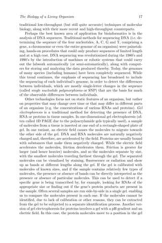 The Biology of a Living Organism 17
traditional low-throughput (but still quite accurate) techniques of molecular
biology, along with their more recent and high-throughput counterparts.
Perhaps the best known area of application for bioinformatics is in the
analysis of DNA sequences. Traditional methods for sequencing DNA (i.e. de-
termining the sequence of the four nucleotides, A, C, G and T, comprising a
gene, a chromosome or even the entire genome of an organism) were painstak-
ing, hands-on procedures that could only produce sequences of limited length
and at a high cost. DNA sequencing was revolutionized during the 1980’s and
1990’s by the introduction of machines or robotic systems that could carry
out the labwork automatically (or semi-automatically), along with comput-
ers for storing and analyzing the data produced thereby. Today, the genomes
of many species (including humans) have been completely sequenced. While
this trend continues, the emphasis of sequencing has broadened to include
the sequencing of each individual’s genome, in order to detect the differences
between individuals, which are mostly single-letter changes in the sequence
(called single nucleotide polymorphisms or SNP) that are the basis for much
of the observable differences between individuals.
Other technologies focus not on static features of an organism, but rather
on properties that may change over time or that may differ in different parts
of an organism (e.g. the concentrations of various RNAs and proteins). Gel
electrophoresis is a traditional method for detecting the presence of DNA,
RNA or proteins in tissue samples. In one-dimensional gel electrophoresis (of-
ten called 1D PAGE due to the polyacrylamide gels typically used), a sample
of molecules from a tissue is inserted at one end of a rectangle-shaped plate of
gel. In one variant, an electric field causes the molecules to migrate towards
the other side of the gel. DNA and RNA molecules are naturally negatively
charged and, therefore, are accelerated by the field. Proteins are usually bound
with substances that make them negatively charged. While the electric field
accelerates the molecules, friction decelerates them. Friction is greater for
larger (and hence heavier) molecules, and so the molecules separate by size,
with the smallest molecules traveling farthest through the gel. The separated
molecules can be visualized by staining, fluorescence or radiation and show
up as bands at different lengths along the gel. If the gel is calibrated with
molecules of known sizes, and if the sample contains relatively few types of
molecules, the presence or absence of bands can be directly interpreted as the
presence or absence of particular molecules. This can be used to detect if a
specific gene is being transcribed by, for example, looking for RNAs of the
appropriate size or finding out if the gene’s protein products are present in
the sample. Often several samples are run side-by-side in a single gel. enabling
us to compare the molecules present in each one. If the molecules cannot be
identified, due to lack of calibration or other reasons, they can be extracted
from the gel to be subjected to a separate identification process. Another ver-
sion of gel electrophoresis for proteins involves a gel with a pH gradient and an
electric field. In this case, the protein molecules move to a position in the gel
 