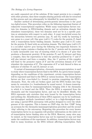 The Biology of a Living Organism 21
are easily separated out of the solution. If the target protein is in a complex
with other proteins, then these complex-sharing proteins will also be extracted
in this process and can subsequently be identified by mass spectrometry.
Another method of determining protein-protein interactions is the yeast
two-hybrid screen. This procedure relies on the following important feature of
eukaryotic transcriptional regulation: While many transcription factors con-
tain two domains (a DNA-binding domain and an activation domain that
stimulates transcription), these two domains need not be in a specific posi-
tion or orientation with respect to each other. A yeast two-hybrid screen for
the interaction between two proteins (say, P1 and P2) works by inserting 3
new genes in a yeast cell. One gene (call it 10
) codes for the protein P1 fused
with a transcription factor binding domain. Another gene (call it 20
) codes
for the protein P2 fused with an activation domain. The third gene (call it 30
)
is a so-called reporter gene having the following two important features: its
regulatory region contains a binding site for the 10
protein and its expression
is easily measurable (one way of ensuring which is to choose a 30
gene that
produces a fluorescent protein). If the proteins P1 and P2 interact and form
a complex, then the expectation is that the proteins produced by 10
and 20
will also interact and form a complex. Also, the 10
portion of this complex
will bind to the promoter region of 30
and the activation domain of 20
will
stimulate the expression of 30
. The expression of 30
or lack thereof is then an
indicator of whether P1 and P2 interact or not.
A variant of immunoprecipitation, chromatin immunoprecipitation, is used
to study where transcription factors bind to the DNA. In a given tissue-sample,
depending on the conditions of the experiment, certain transcription factors
will be expressed and bind to the DNA at various locations. The transcription
factors are first cross-linked (i.e. bound) to proteins comprising the DNA’s
chromatin. Next, the cells are broken apart and the DNA broken into frag-
ments by sonication (i.e. bombardment by sound waves). A chosen transcrip-
tion factor can then be immunoprecipitated, bringing with it the chromatin
to which it is bound and the DNA. Then the DNA is separated from the
chromatin and the transcription factor, and can be identified. Ideally, this
DNA represents only stretches that were bound by the transcription factor
and nothing else. Identification of these DNA segments can be by traditional,
low-throughput methods (mentioned earlier) or in a high-throughput man-
ner using a special DNA microarray with probes designed to cover the whole
genome of the organism. This is known as ChIP-chip, the first ‘ChIP’ being
an acronym for the chromatin immunoprecipitation procedure and the second
‘chip’ referring to the microarray. Repeating this procedure for every known
transcription factor in an organism will produce information on the entire set
of transcription factor binding sites on the DNA. However, many sites may
be missed, as the transcription factor may not be expressed or may not bind
under the conditions of the experiment. In addition, transcription factors may
bind to many locations on the DNA without affecting transcription. Such
 
