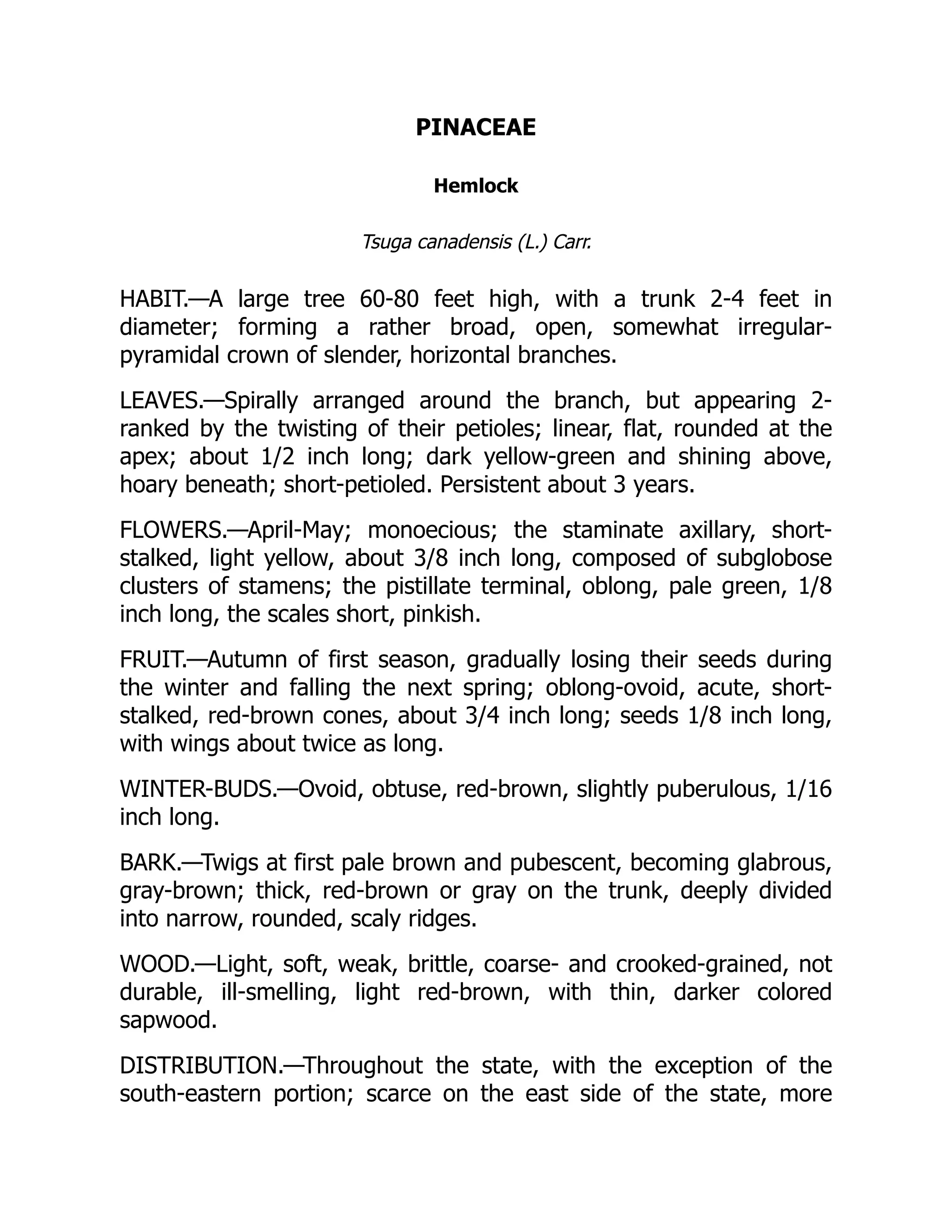 PINACEAE
Hemlock
Tsuga canadensis (L.) Carr.
HABIT.—A large tree 60-80 feet high, with a trunk 2-4 feet in
diameter; forming a rather broad, open, somewhat irregular-
pyramidal crown of slender, horizontal branches.
LEAVES.—Spirally arranged around the branch, but appearing 2-
ranked by the twisting of their petioles; linear, flat, rounded at the
apex; about 1/2 inch long; dark yellow-green and shining above,
hoary beneath; short-petioled. Persistent about 3 years.
FLOWERS.—April-May; monoecious; the staminate axillary, short-
stalked, light yellow, about 3/8 inch long, composed of subglobose
clusters of stamens; the pistillate terminal, oblong, pale green, 1/8
inch long, the scales short, pinkish.
FRUIT.—Autumn of first season, gradually losing their seeds during
the winter and falling the next spring; oblong-ovoid, acute, short-
stalked, red-brown cones, about 3/4 inch long; seeds 1/8 inch long,
with wings about twice as long.
WINTER-BUDS.—Ovoid, obtuse, red-brown, slightly puberulous, 1/16
inch long.
BARK.—Twigs at first pale brown and pubescent, becoming glabrous,
gray-brown; thick, red-brown or gray on the trunk, deeply divided
into narrow, rounded, scaly ridges.
WOOD.—Light, soft, weak, brittle, coarse- and crooked-grained, not
durable, ill-smelling, light red-brown, with thin, darker colored
sapwood.
DISTRIBUTION.—Throughout the state, with the exception of the
south-eastern portion; scarce on the east side of the state, more
 