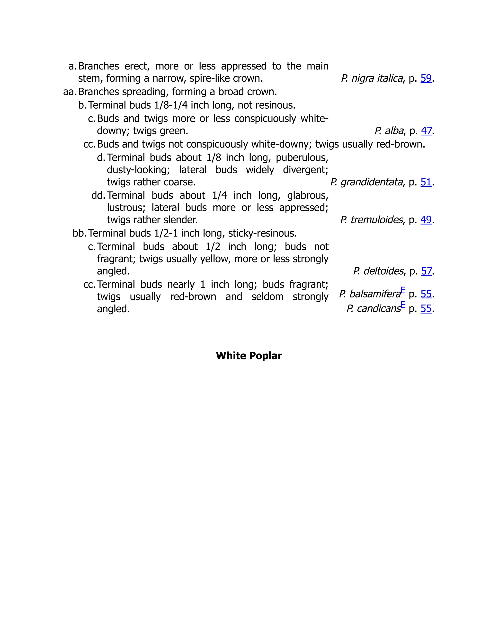 a.Branches erect, more or less appressed to the main
stem, forming a narrow, spire-like crown. P. nigra italica, p. 59.
aa.Branches spreading, forming a broad crown.
b.Terminal buds 1/8-1/4 inch long, not resinous.
c.Buds and twigs more or less conspicuously white-
downy; twigs green. P. alba, p. 47.
cc.Buds and twigs not conspicuously white-downy; twigs usually red-brown.
d.Terminal buds about 1/8 inch long, puberulous,
dusty-looking; lateral buds widely divergent;
twigs rather coarse. P. grandidentata, p. 51.
dd.Terminal buds about 1/4 inch long, glabrous,
lustrous; lateral buds more or less appressed;
twigs rather slender. P. tremuloides, p. 49.
bb.Terminal buds 1/2-1 inch long, sticky-resinous.
c.Terminal buds about 1/2 inch long; buds not
fragrant; twigs usually yellow, more or less strongly
angled. P. deltoides, p. 57.
cc.Terminal buds nearly 1 inch long; buds fragrant;
twigs usually red-brown and seldom strongly
angled.
P. balsamiferaE p. 55.
P. candicansE p. 55.
White Poplar
 