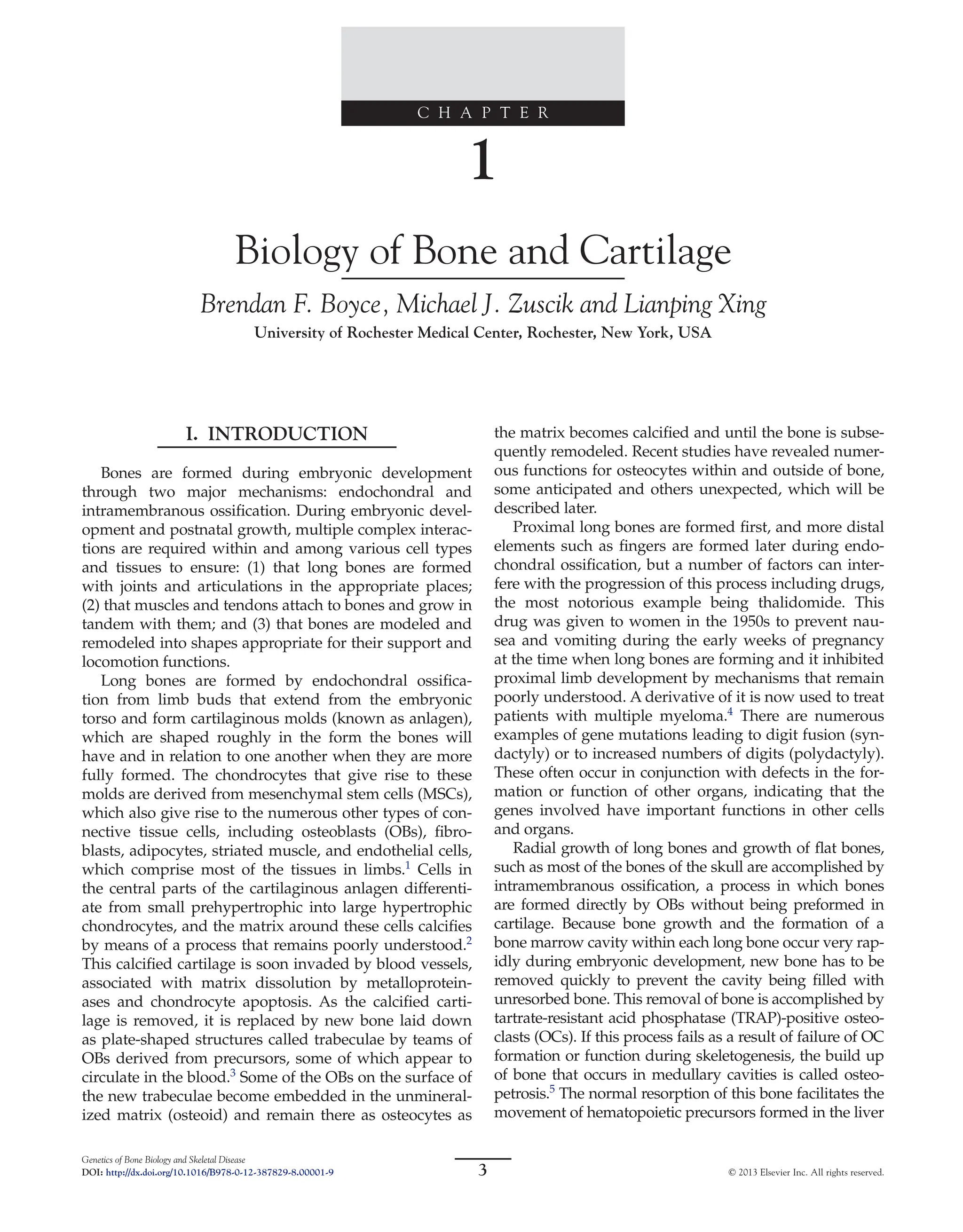 Genetics Of Bone Biology And Skeletal Disease Rajesh V Thakker | PDF