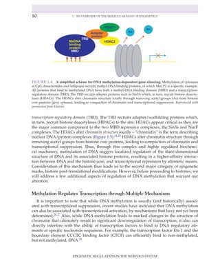 Epigenetic Regulation In The Nervous System Basic Mechanisms And ...