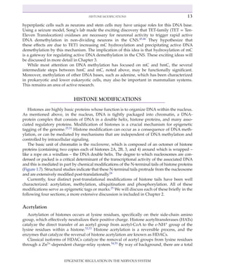 Epigenetic Regulation In The Nervous System Basic Mechanisms And ...