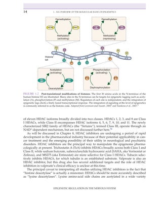 Epigenetic Regulation In The Nervous System Basic Mechanisms And ...