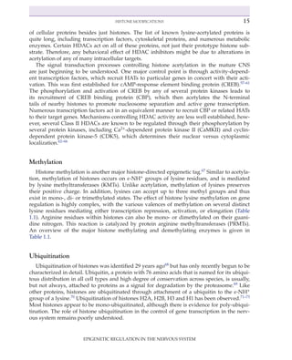 Epigenetic Regulation In The Nervous System Basic Mechanisms And ...