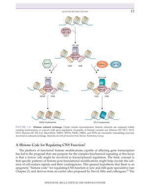 Epigenetic Regulation In The Nervous System Basic Mechanisms And ...