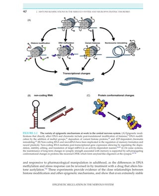 Epigenetic Regulation In The Nervous System Basic Mechanisms And ...