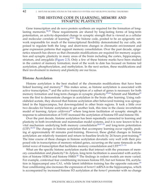 Epigenetic Regulation In The Nervous System Basic Mechanisms And ...
