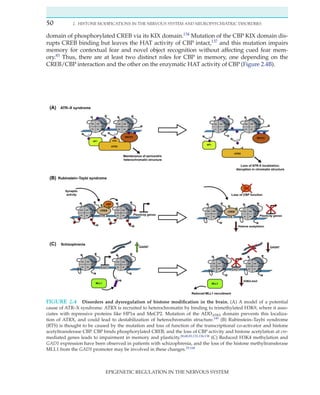 Epigenetic Regulation In The Nervous System Basic Mechanisms And ...